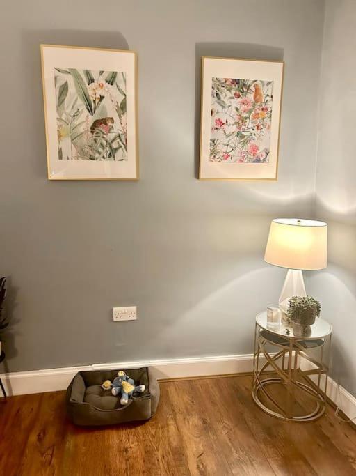 Large 2 Bedroom, Ground Floor Flat, Close To City EDI Exteriér fotografie